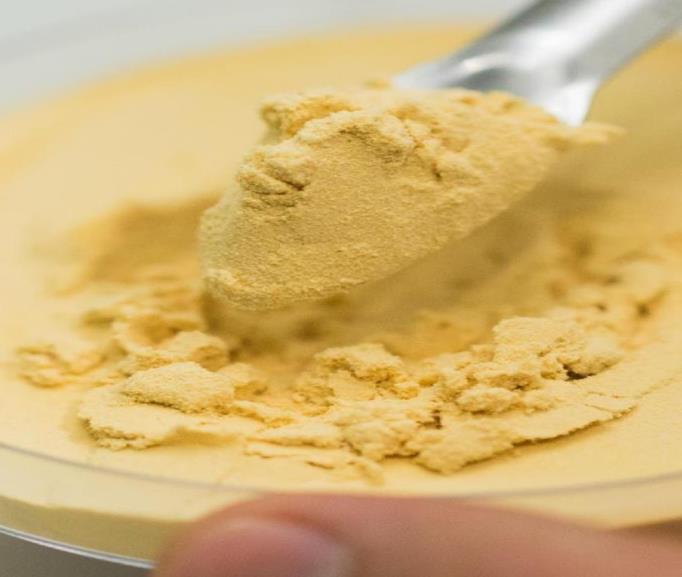 Close-up of acerola cherry powder